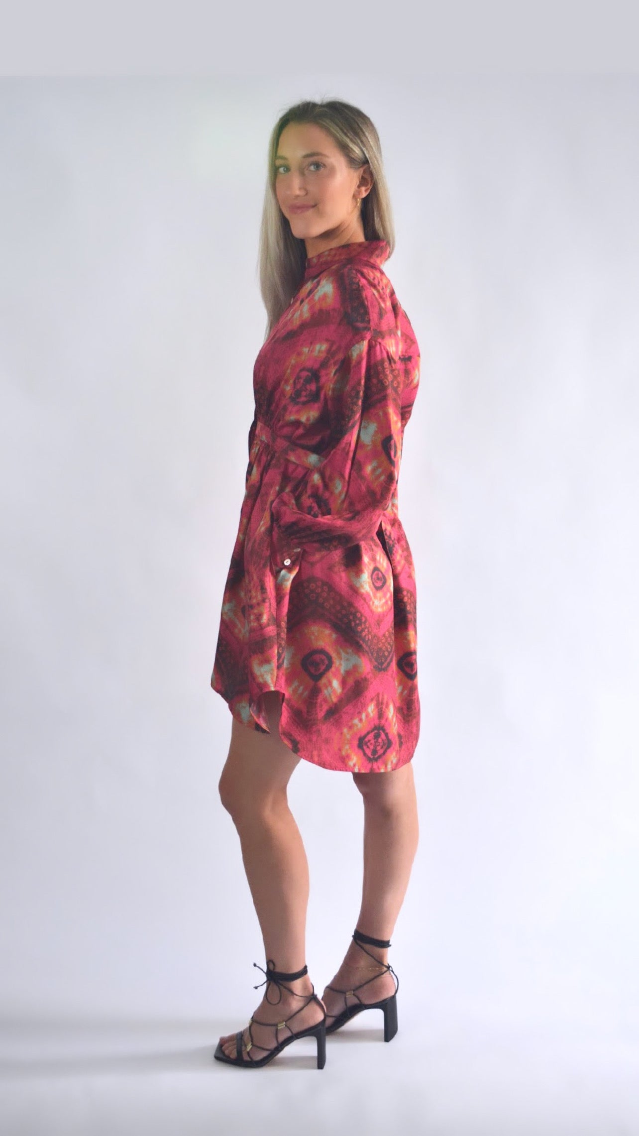 Ulla Johnson Jude Dress in Wild Rose