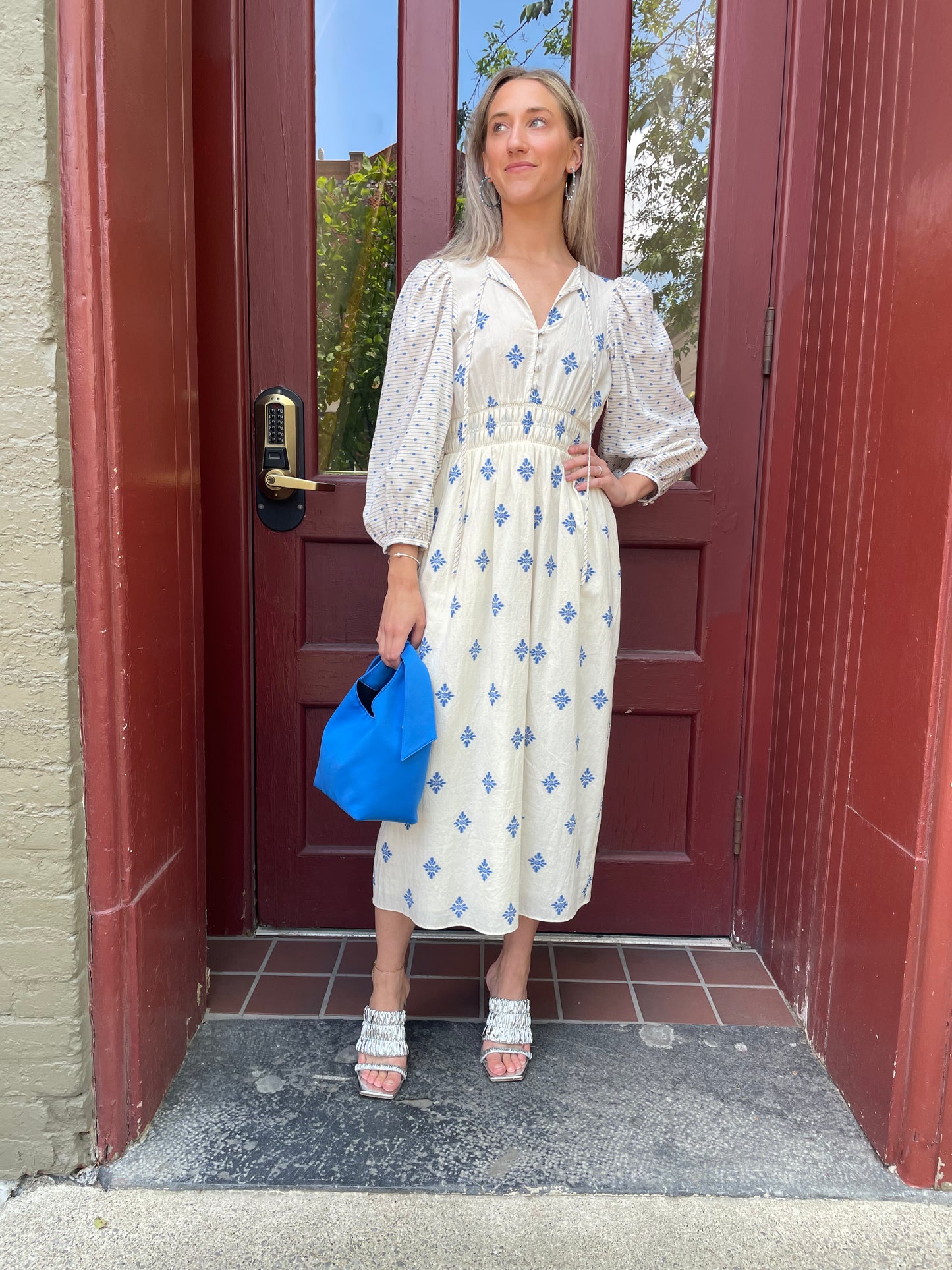 Hunter Bell- Clementine Dress- Blue Medallion