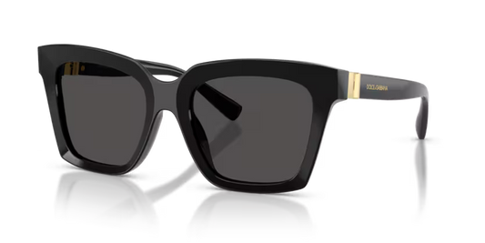 Dolce&Gabbana - 0DG4498 - Black w/Dark Grey Lens