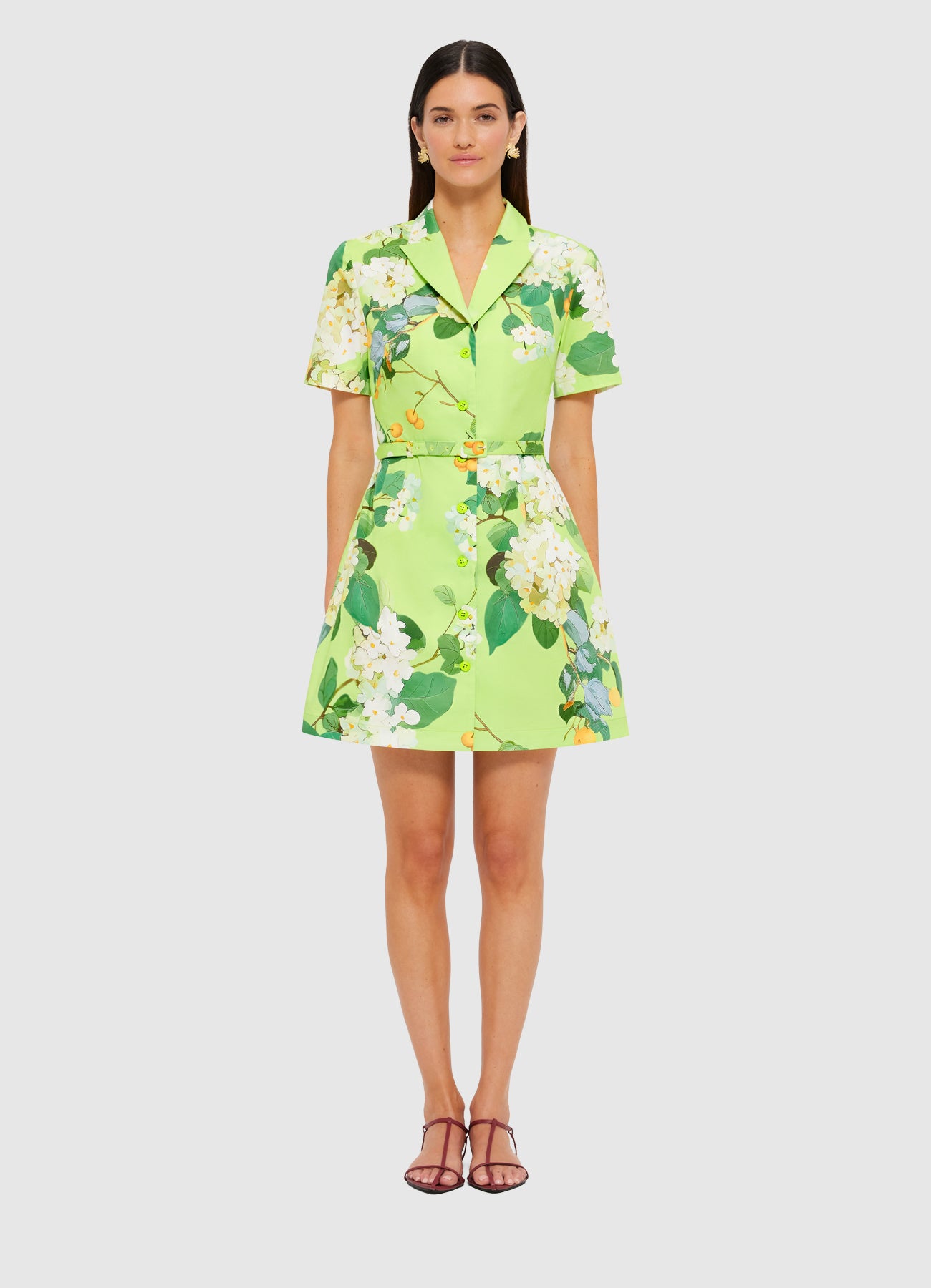 Leo Lin Brigette Mini Dress in Hydrangea Lime